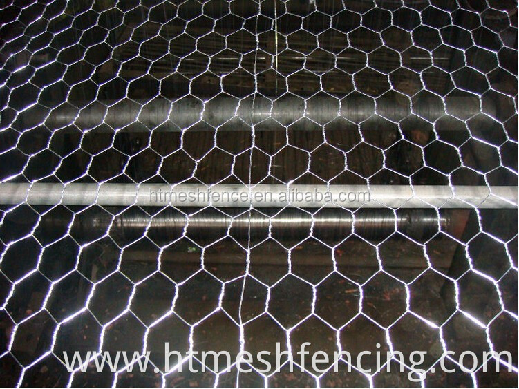 Galvanized Hexagonal chicken wire mesh, 1/2